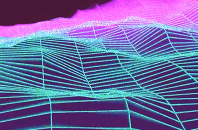 Visuel d'art et design générative de lignes